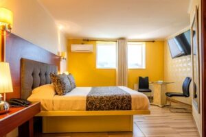 Amor Amor Providencia