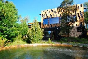 Descubre los Mejores Moteles en Ranco, Chile: Precios y Ofertas